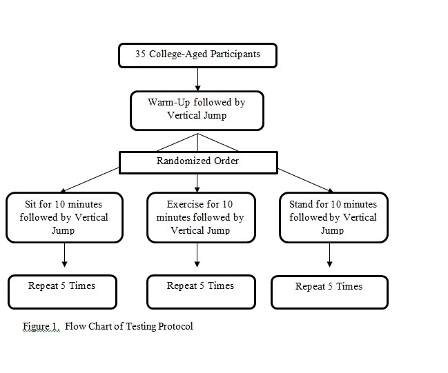 Figure 1 - Flow Chart