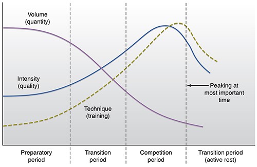 Figure 1 Matveyev Model of Periodization